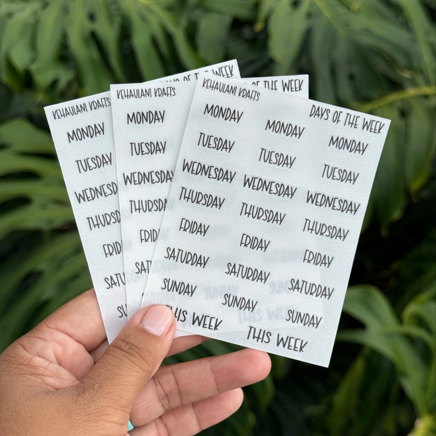 DAYS OF THE WEEK STICKERS